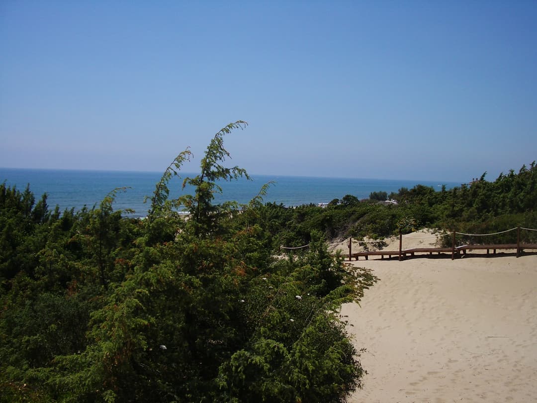 Spiaggia di Rive di Traiano