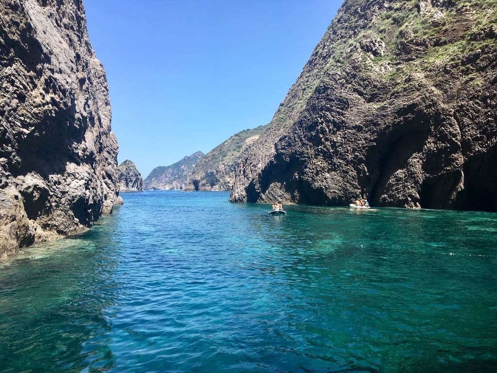 Palmarola